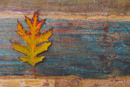 vintage autumn leaves with patina backgroundの写真素材