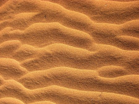 Abstract texture and pattern in desert sand (Negev)