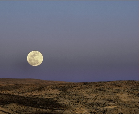 Desert moonriseの写真素材