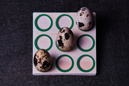 three quail eggs in tic-tac-toe gameの写真素材