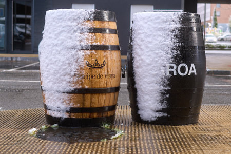 Pamplona, Navarra Spain april 01 2022, Surprise snowfall in early springのeditorial素材