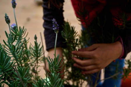 girl planting seeds in a pot in early spring