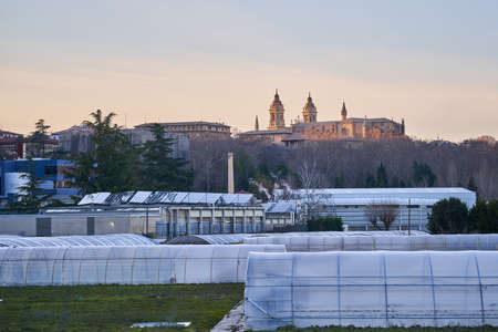 Pamplona, Navarra Spain january 16 2022, View of the cathedral from the Magdalena greenhouse areaのeditorial素材