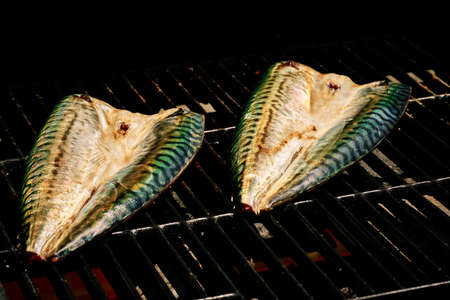 Verdel or mackerel fish made on the grill with spices. High quality photo