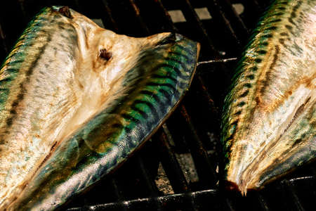 Verdel or mackerel fish made on the grill with spices. High quality photoの写真素材