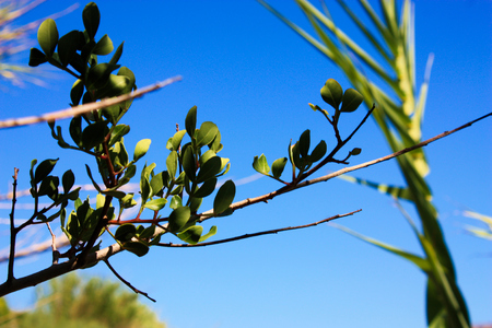 View of the Cretan wild countryside, nature and landscapeの写真素材
