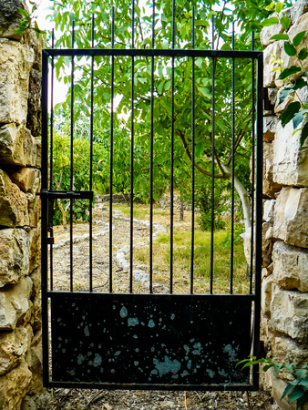 Nature and plants around the countryside of Jerusalem