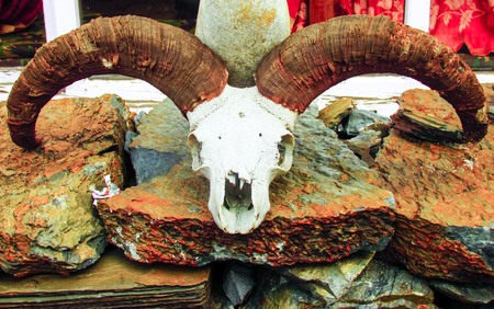 landscape and nature in the Mustang region of Nepalの写真素材