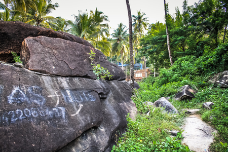 rock in the jungle in southern Indiaの写真素材