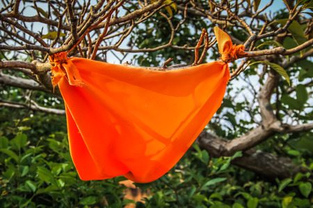 Landscape and nature in Karnataka Southern Indiaの写真素材