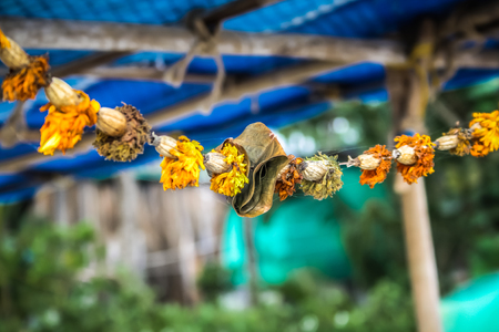 Closeup of fish boat in Goa southern Indiaの写真素材