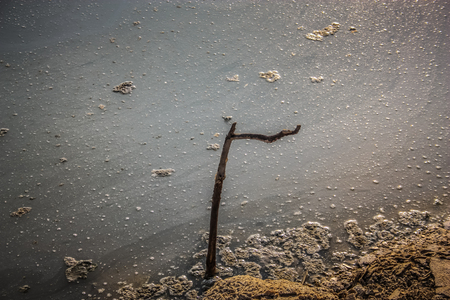 Dead sea landscape and crystal salt in Israelの写真素材