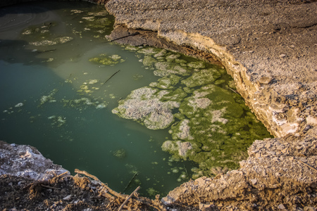 Dead sea salt crystal closeup in Israelの写真素材