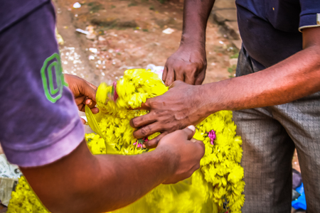 Closeup of flowers in the street in Indiaの写真素材