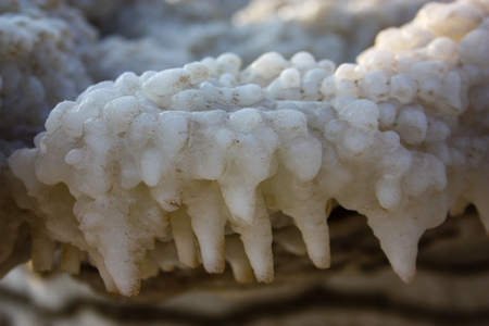Closeup of Dead sea salt crystal in Israelの写真素材