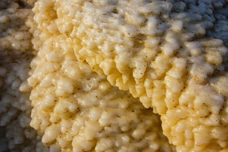 Closeup of Dead sea salt crystal in Israel