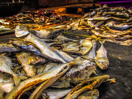 Closeup of different types of fishes in the fish market in southern Indiaの写真素材