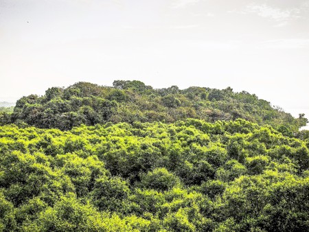 Nature and landscape in Southern India