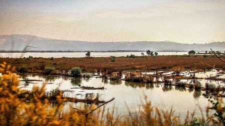 Nature and landscape in Southern Indiaの写真素材