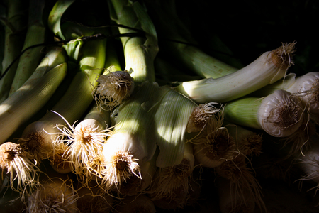 Closeup of fresh vegetables on the market in Israelの写真素材