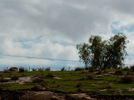 Nature and landscape of the Dead sea area in Israel