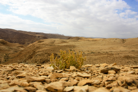 Nature and landscape of the Dead sea area in Israelの写真素材