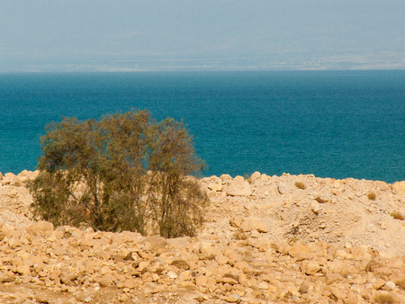 Nature and landscape of the Dead sea area in Israelの写真素材