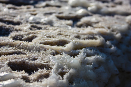 Closeup of Dead sea salt crystal in Israelの写真素材