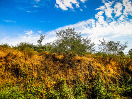 Nature and landscape in Southern Indiaの写真素材