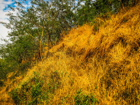 Nature and landscape in Southern India