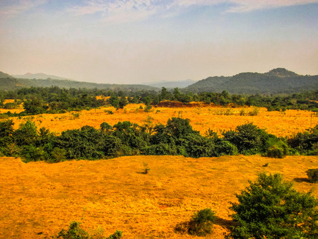 Nature and landscape in Southern Indiaの写真素材