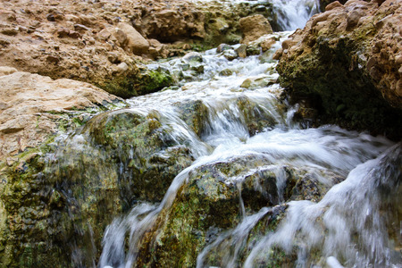 Nature in the Wadi Bokek reserve of Judean desert in Israelの写真素材