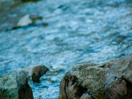 Nature in the Wadi Bokek reserve of Judean desert in Israelの写真素材