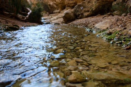 Nature in the Wadi Bokek reserve of Judean desert in Israelの写真素材