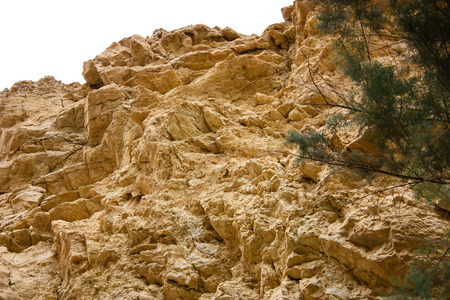Nature in the Wadi Bokek reserve of Judean desert in Israel