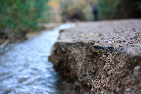 Nature in the Wadi Bokek reserve of Judean desert in Israelの写真素材