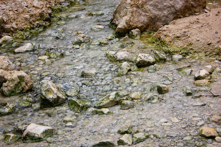 Nature in the Wadi Bokek reserve of Judean desert in Israel