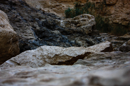 Nature in the Wadi Bokek reserve of Judean desert in Israelの写真素材