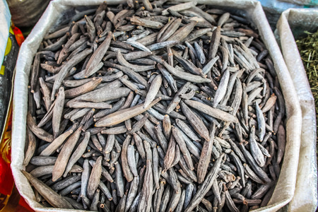 Closeup of different kind of spices from Indiaの写真素材
