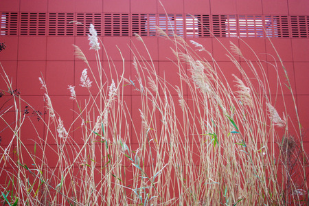 nature around Jerusalem in Israelの写真素材