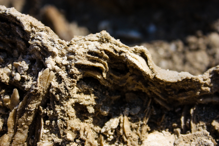 Nature and landscape of the Dead sea in Israelの写真素材