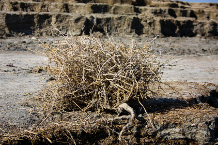 Nature and landscape of the Dead sea in Israelの写真素材