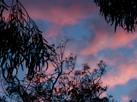 Nature and landscape from Israelの写真素材