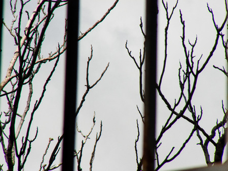 Nature and landscape from Israelの写真素材