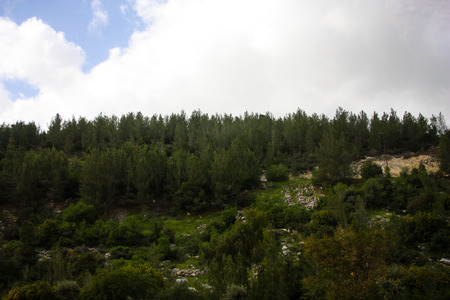Nature and landscape from Israelの写真素材