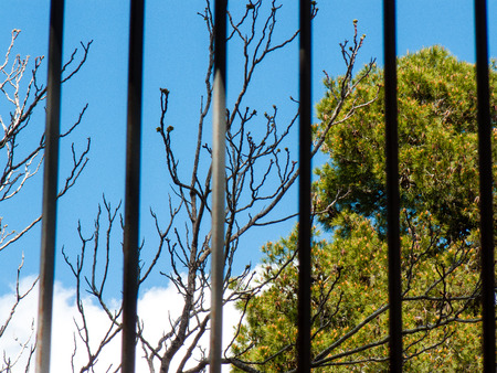 Nature and landscape from Israelの写真素材