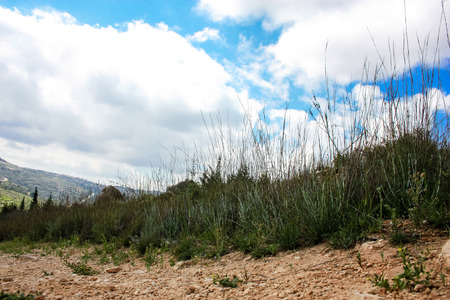 Landscape and nature at the White Valley near Jerusalem, part of the Israeli National Trekの写真素材