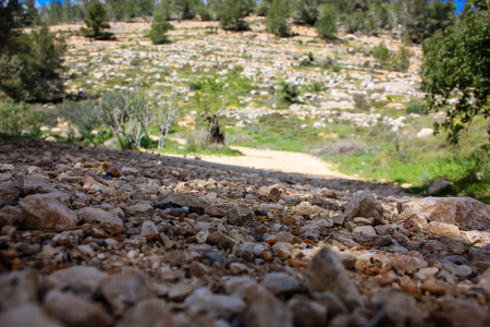 Landscape and nature at the White Valley near Jerusalem, part of the Israeli National Trekの写真素材