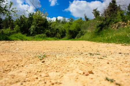 Landscape and nature at the White Valley near Jerusalem, part of the Israeli National Trekの写真素材