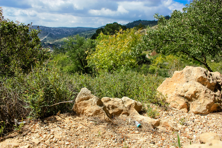 Landscape and nature at the White Valley near Jerusalem, part of the Israeli National Trekの写真素材